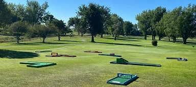 Mini golf rentals in Toronto for weddings, parties, and events across Ontario and the GTA